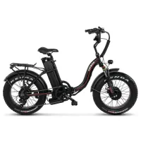 Электрофэтбайк Cayman TRIAL DUAL черный