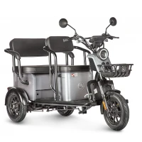 Электротрицикл Wanshida UM+ 60V 1000Вт